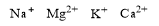 image-20231230161905430