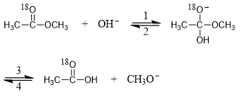 image-20240120222824486